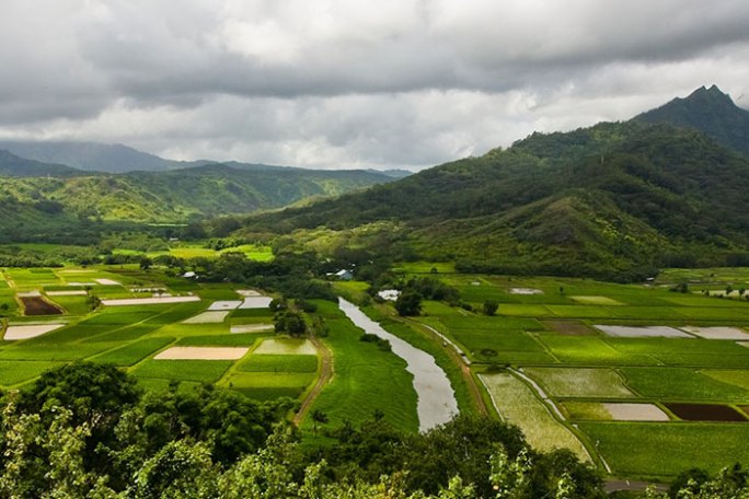 Hanalei-Valley-Lookout