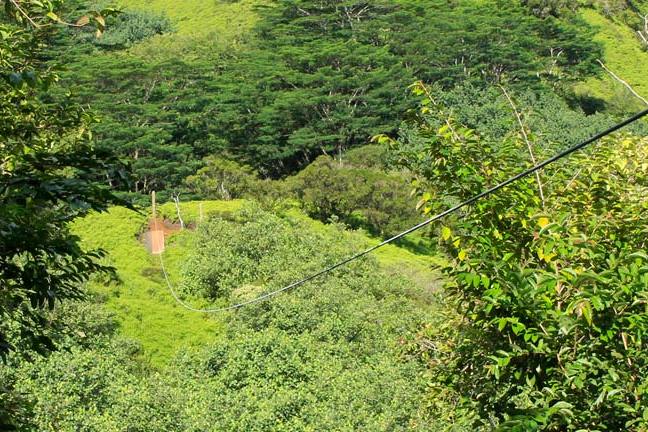 Kauai-Ziplining-Through-the-Jungle
