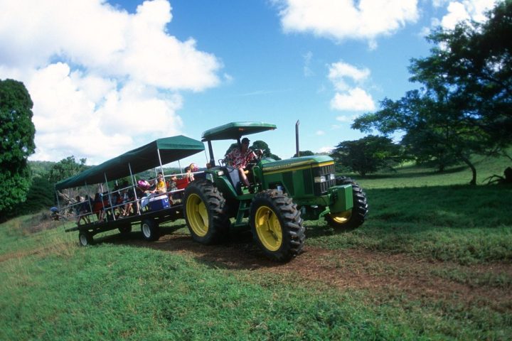 Kipu-Ranch-Farm-Wagon-Ride