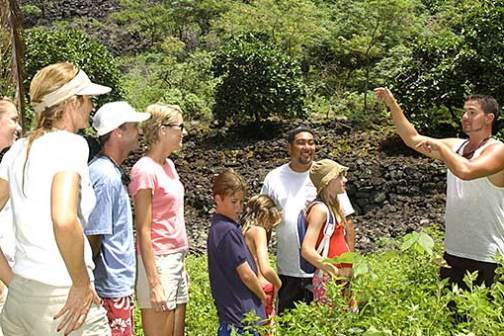 a group of people standing in the grass