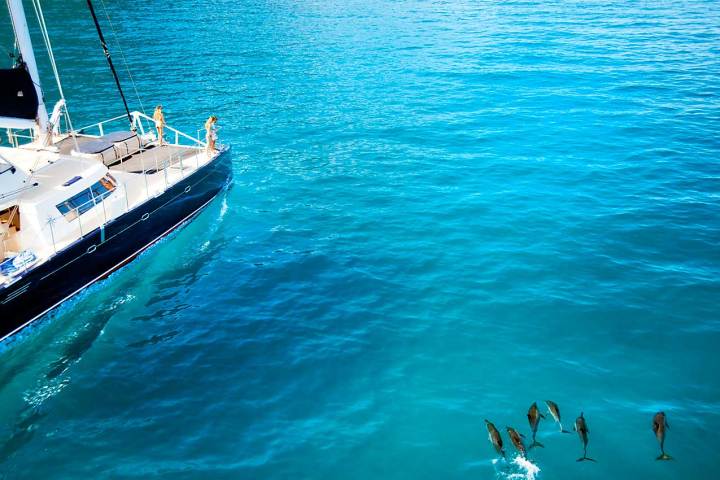 Captain-Andys-Boat-in-Kauai