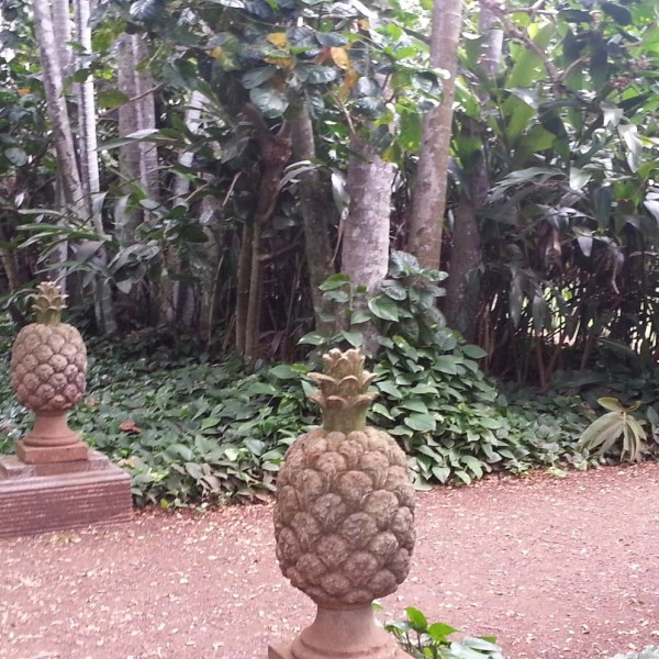 Kauai-Botanical-Gardens-Path