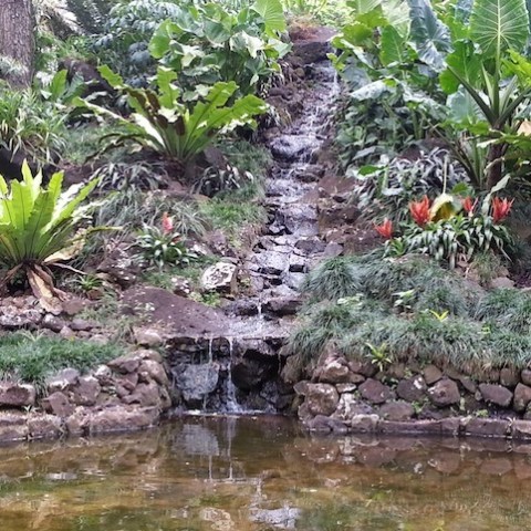 Kauai-Botanical-Gardens-Waterfall
