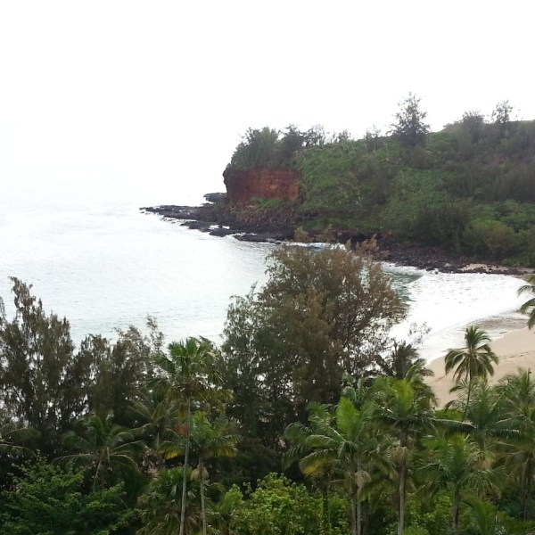 Kauai-Botanical-Gardens