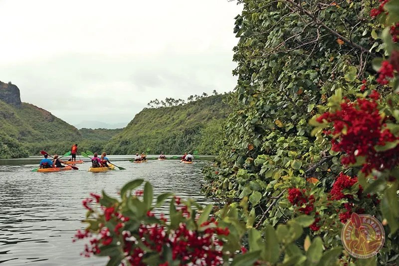 Group kayaking on a river surrounded by lush green hills and red flowers.