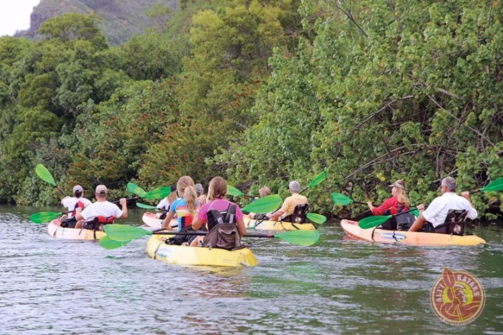Group kayaking on a river surrounded by lush greenery.