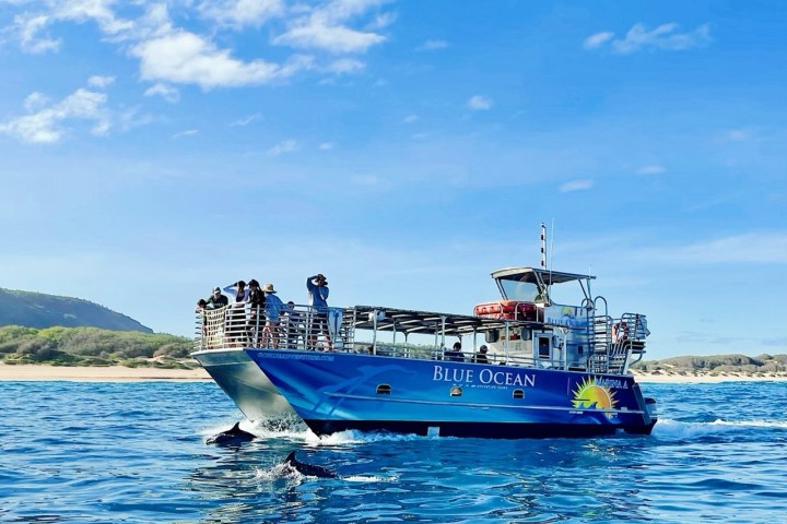 a blue and white boat sitting next to a body of water
