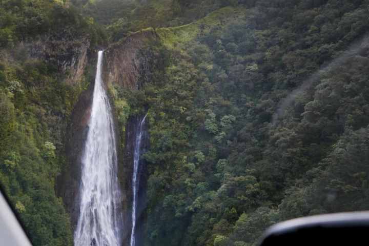 a waterfall with trees on the side of a mountain