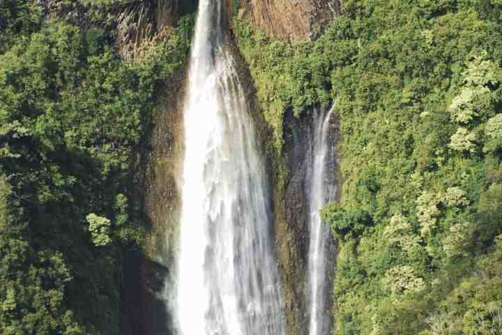 a large waterfall in a forest