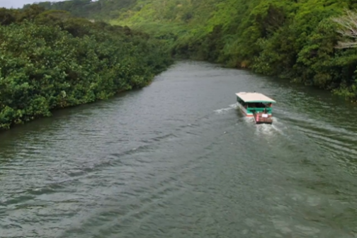 a river boat on the Wailua river.