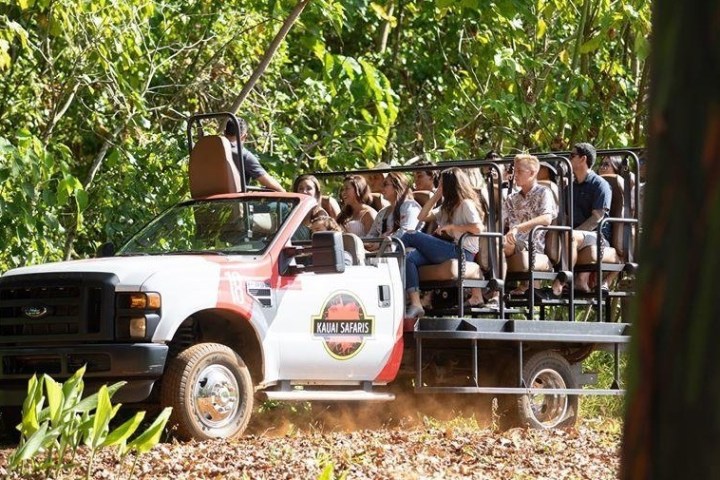 a truck is parked in the grass