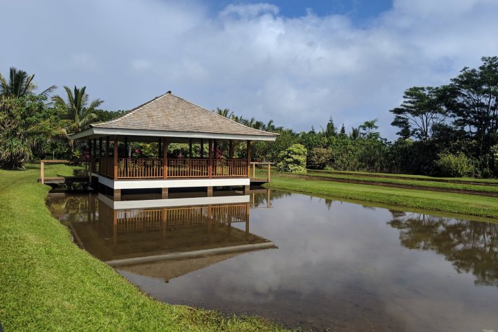 a body of water surrounded by trees