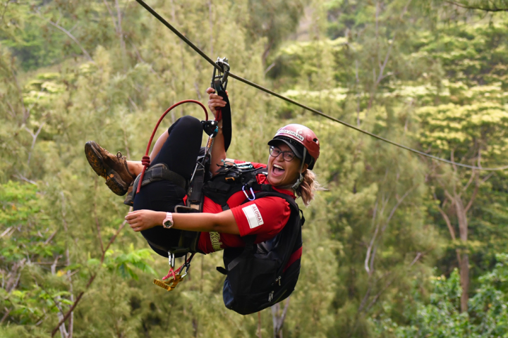 a person standing next to a forest