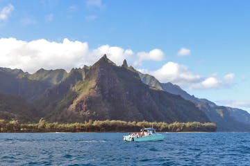a body of water with a mountain in the background