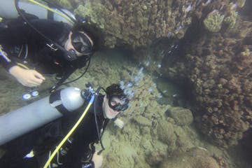 a person swimming in a body of water