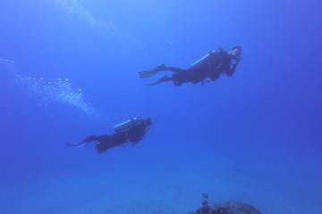a person flying through the air while swimming