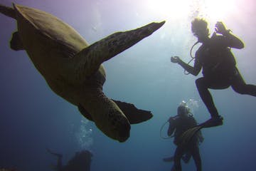 a statue of a man jumping in the air