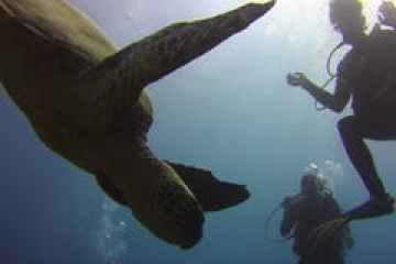 a group of people in the water