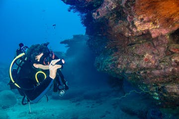 a person swimming in the water
