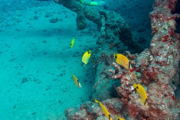 underwater view of a swimming pool