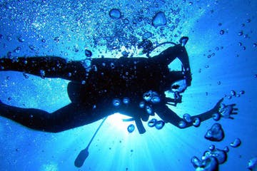 a person swimming in the water