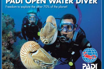 a man in a swimming pool