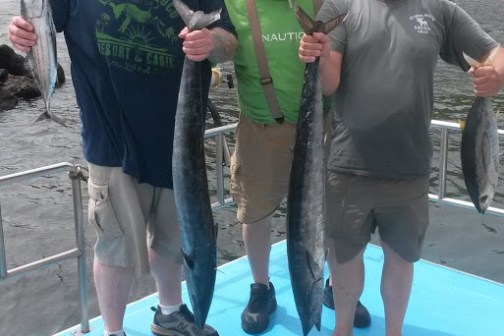 a group of people standing next to a fish in the water