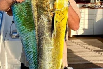 a man holding a fish