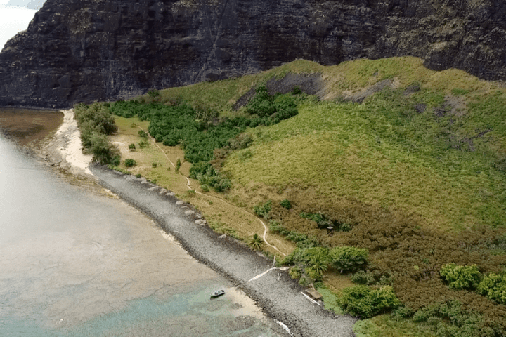 a path with trees on the side of a river