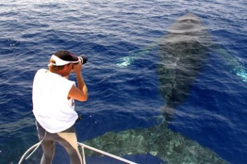 a man standing next to a body of water