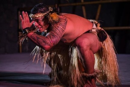 a person riding on the back of a horse