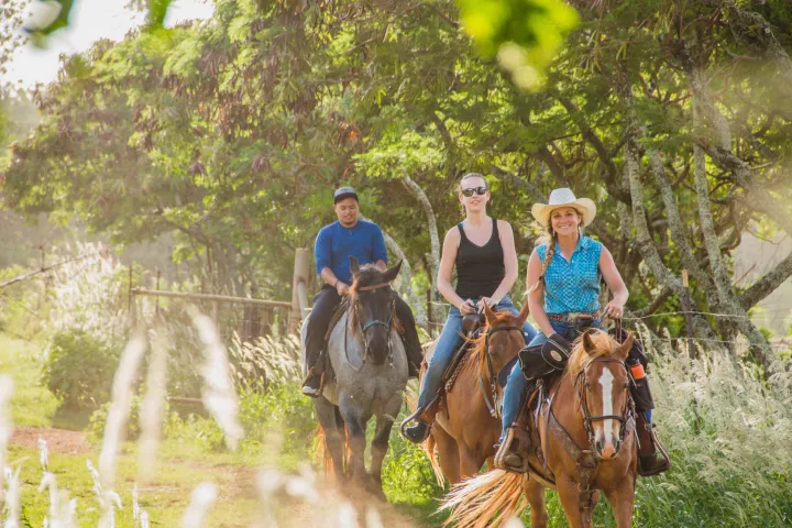 a man riding a horse