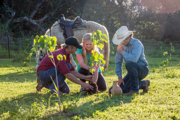 a group of people sitting in the grass