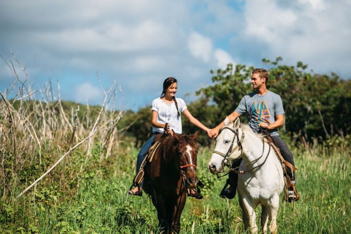 a man riding a horse in a field