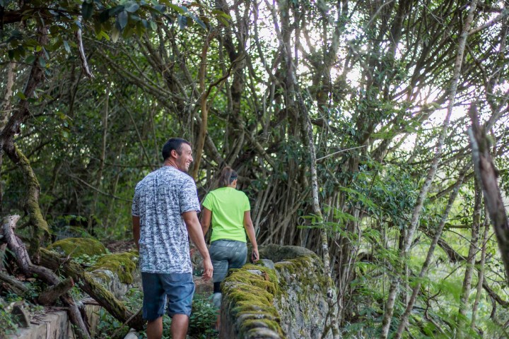 a man standing next to a tree