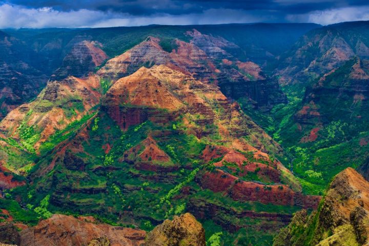 a canyon with Waimea Canyon State Park in the background