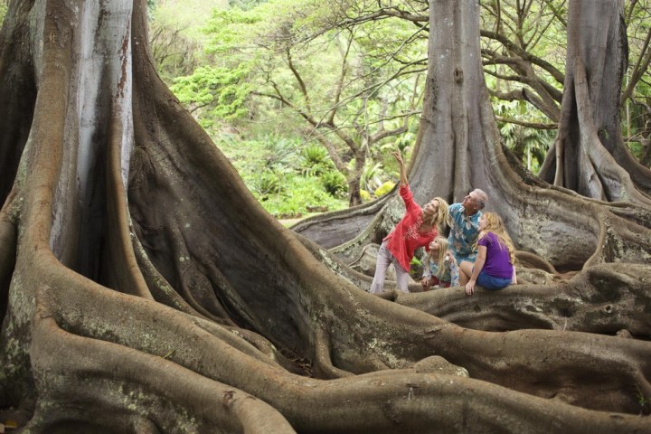 a baby elephant standing next to a tree
