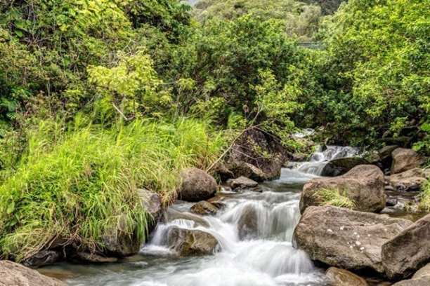a waterfall with trees on the side of a river