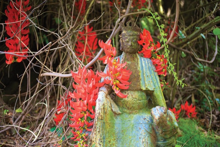 a close up of a tree