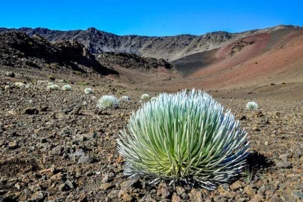 the desert is on the side of a mountain