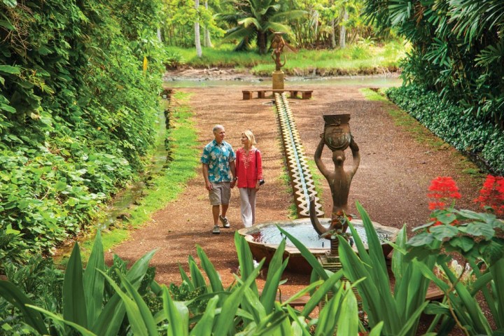 a person sitting in a garden