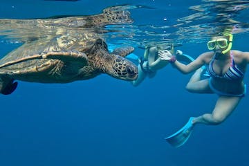a woman swimming in the water