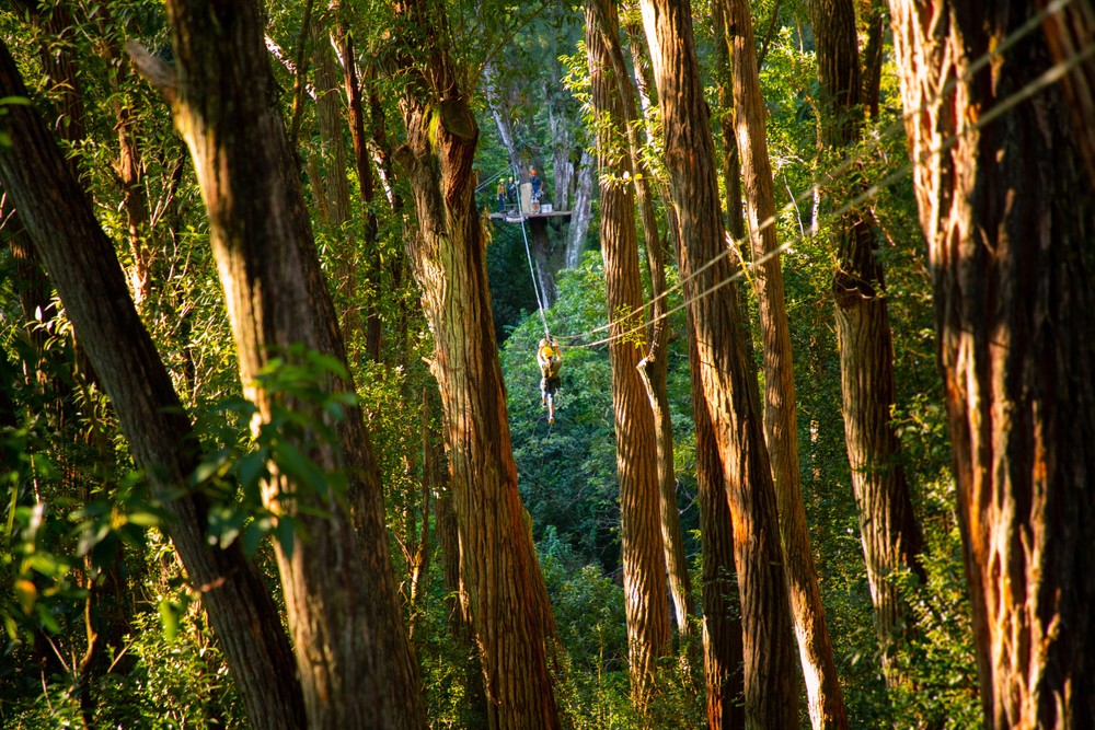 Kohala Zip & Dip | Hawaii Adventure Center