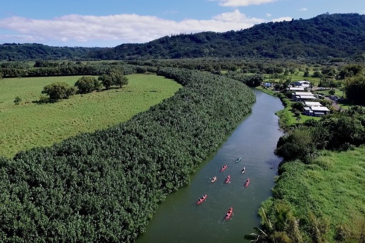 a close up of a lush green hillside