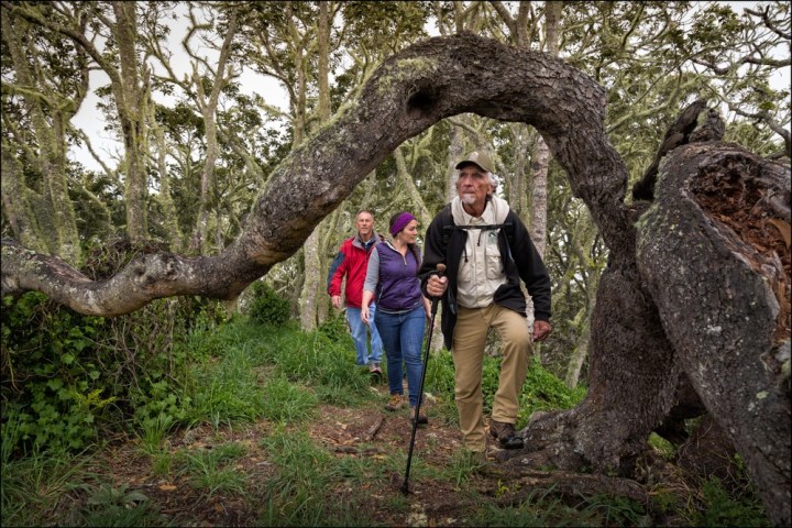 a statue of a man and a woman standing next to a tree