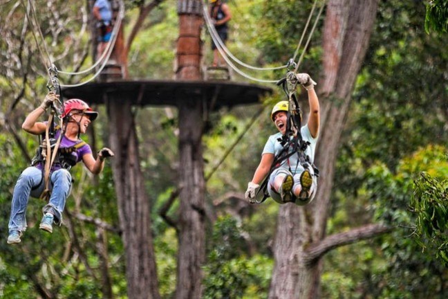 a group of people in a forest