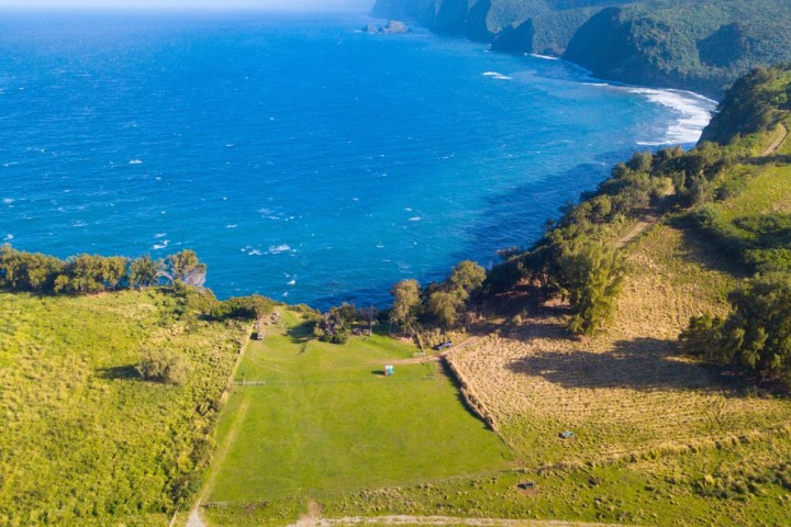 a close up of a hillside next to a body of water