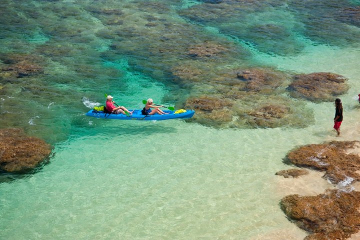 a group of people swimming in a body of water