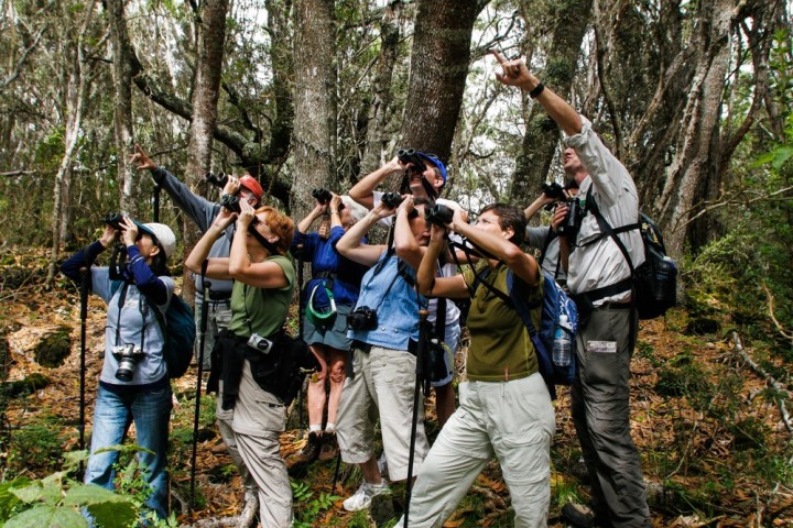 a group of people standing next to a tree