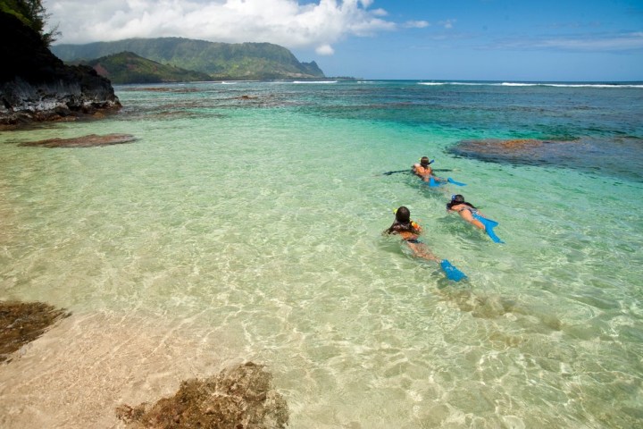 a group of people swimming in a body of water
